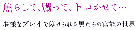 焦らして、嬲って、トロかせて…。多様なプレイで躾けられる男たちの官能の世界