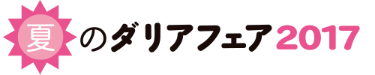 夏のダリアフェア2017