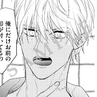 サンプル画像